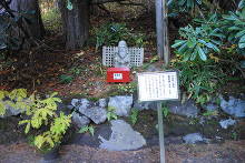 二荒山神社中宮祠  22