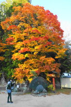 二荒山神社中宮祠  31