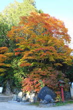 二荒山神社中宮祠  8