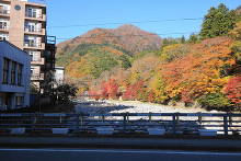 紅の吊橋  1