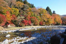 紅の吊橋  2