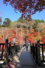 紅の吊橋  3