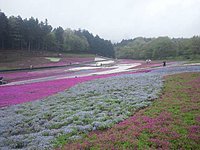 羊山公園 3-1