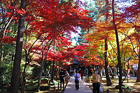 平林寺（金鳳山 平林禅寺） 2-1