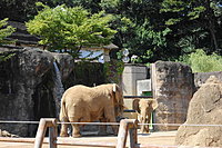 多摩動物公園 2-3