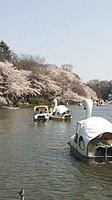 井の頭恩賜公園 3-1