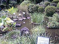 東京都薬用植物園 2-3