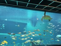 箱根園水族館 2-2