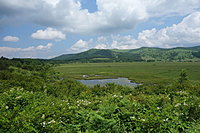 八島ヶ原湿原 2-1