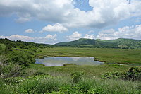 八島ヶ原湿原 2-2