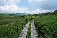 八島ヶ原湿原 2-3