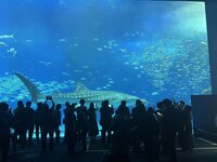 沖縄美ら海水族館 1-3