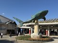 口コミ 沖縄美ら海水族館