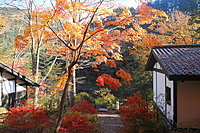 せせらぎの里美術館 1-2