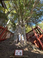 二荒山神社中宮祠 2-2