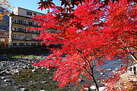 紅の吊橋 1-1